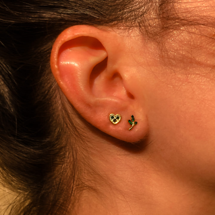 Ensemble puces d'oreilles acier strass papillon coeur feuilles vert