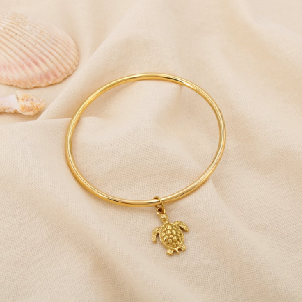 Bracelet Jonc acier inoxydable marin charm tortue 0225227 doré