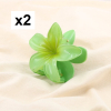 vert