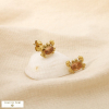 Boucles d’oreilles puces crabe acier inox strass 0326159 champagne